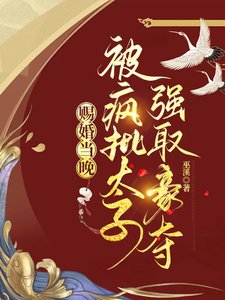 賜婚當晚,被瘋批太子強取豪奪